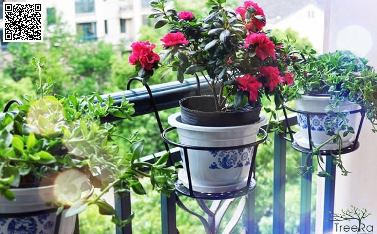 GIỎ SẮT ĐỂ CHẬU HOA TREO BAN CÔNG
