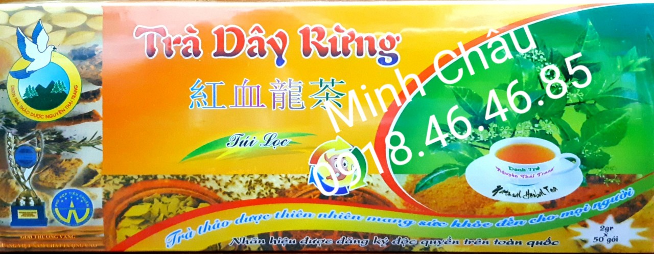 Trà Dây Rừng Nguyễn Thái Trang