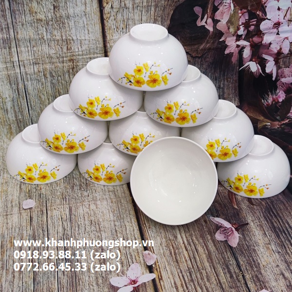 [HCM]bộ 10 chén sứ ăn cơm - chén sứ ăn cơm
