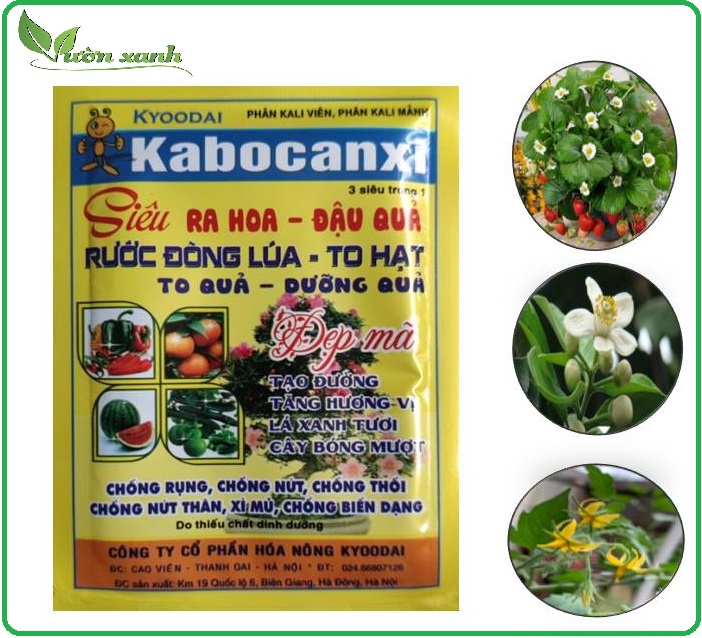 Set 3 gói phân bón Kabocanxi- kích ra hoa đậu quả 18gr
