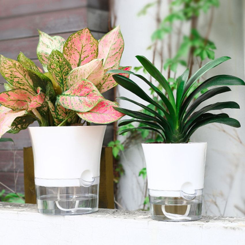 Lọ hoa thủy canh bình nước chậu cây thủy sinh tưới nước tự động nhà văn phòng sáng tạo thấm nước tự động