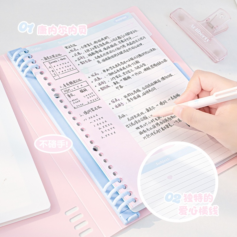 Sổ còng Cream Diary Rosy Posy B5