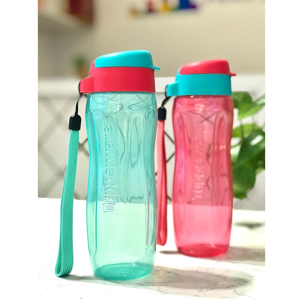 [HCM]Bình Nước Eco Bottle Gen 2 500ML