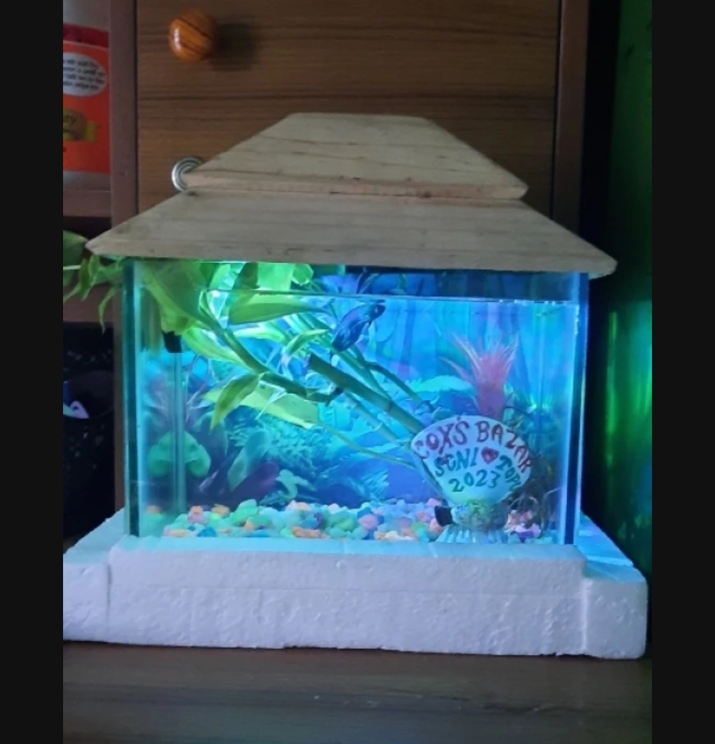 Glass Made Deshi Aquarium For Fish With All Accessories You Don't Have To Buy Anything (Big Size 18x9x10 Inches). 