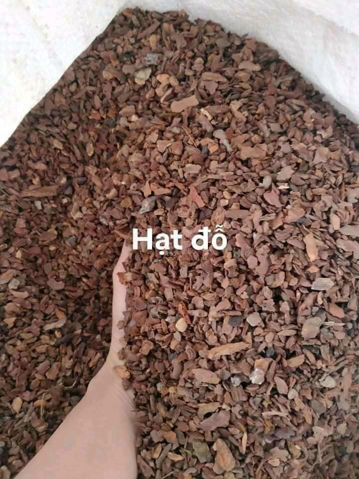 5kg vỏ thông đỏ trồng lan, mài cạnh, đủ size, hàng vỏ dày tròn, cam kết như hình