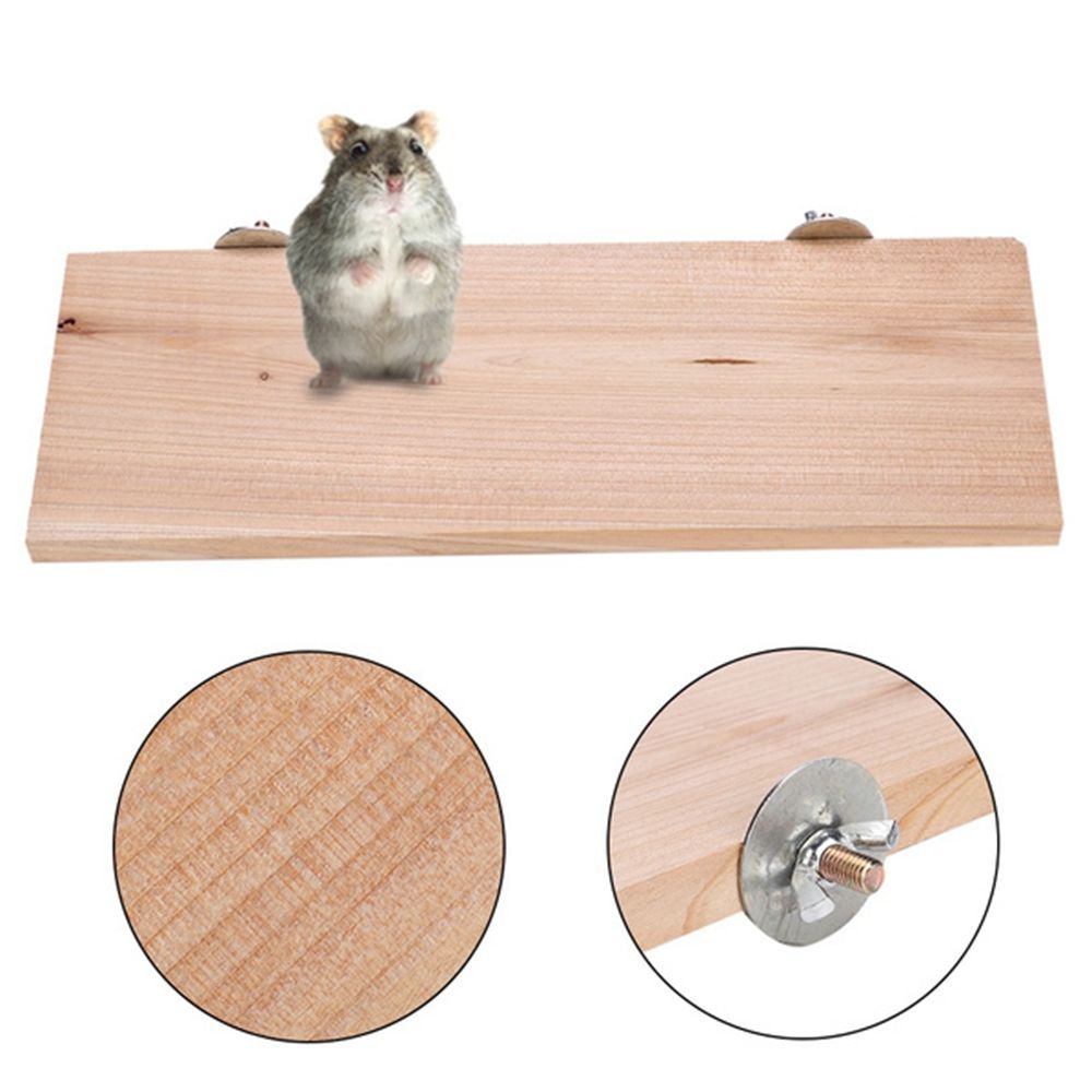Photo inspiration: Picture Idea: Natural Wood Parrot Perch Stand Zzcitytk Safe Eco Friendly Pet