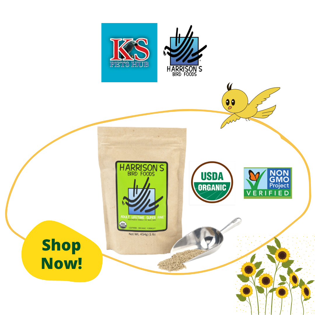 Harrison's Adult Lifetime Super Fine 1lb Parrot Bird Food Diet Lazada