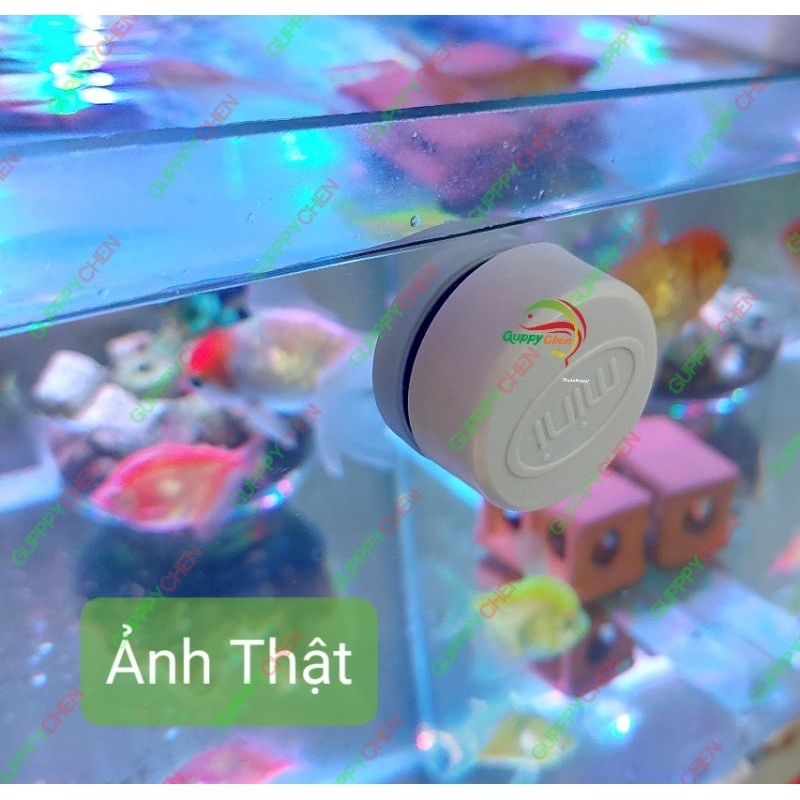 Hít Chùi Kính, Chà Hồ Nam Châm Mini Hình Tròn Dùng Cho Bể Cá