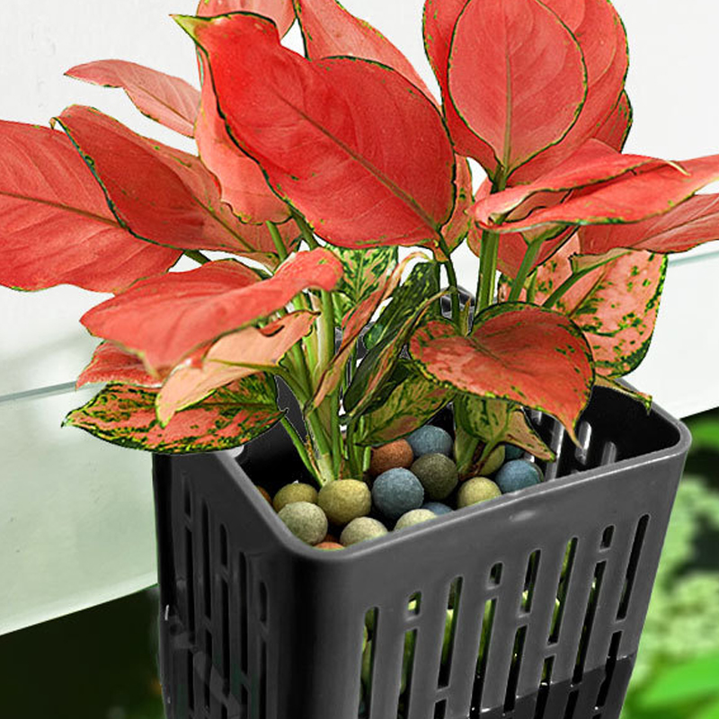 Hanging%20Aquarium%20Plant%20Holder%20Plastic%20Aquarium%20Hooks%20Planter%20Cups%20Planter%20Basket%20Fayshow%20-%20Image%203