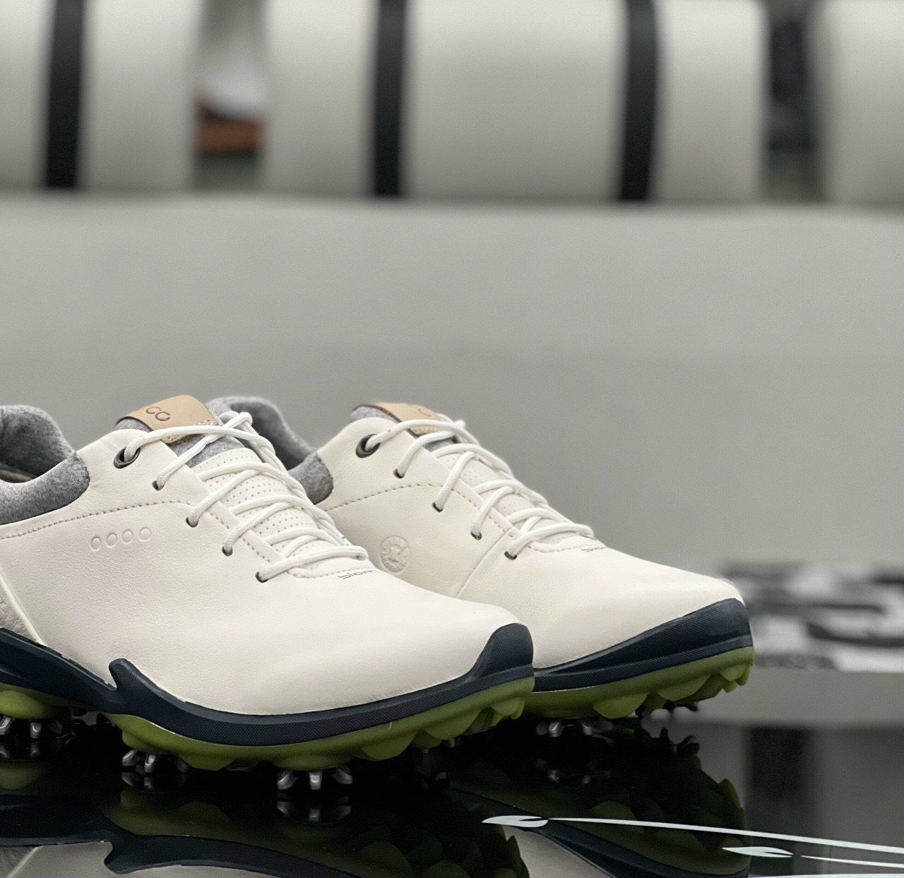 𝗦𝗔𝗟𝗘 𝗙𝗘𝗕𝗥𝗨𝗔𝗥𝗬 - SALE UP TO 60% -  - [GIÁ HUỶ DIỆT][TẶNG VỚ] GIÀY GOLF ECCO BIOM G3 [CHỐNG THẤM TỐT][DA THẬT]