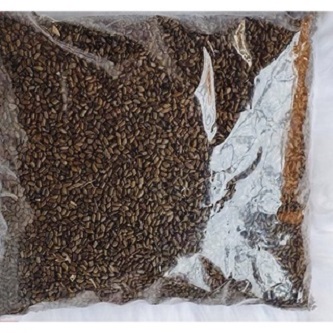 hạt muồng ( thảo quyết minh ) 500g