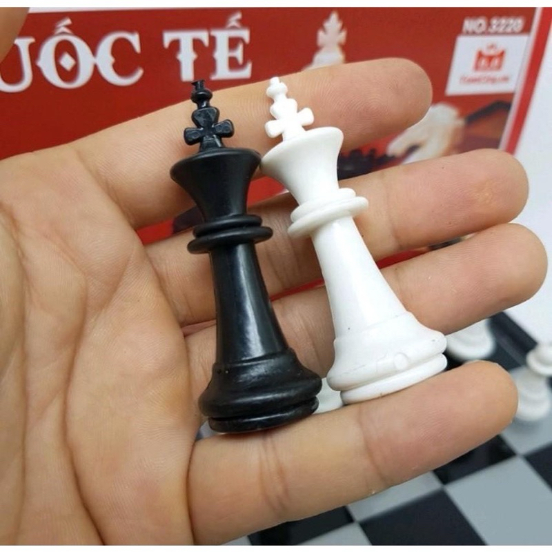 Bộ cờ vua nam châm quốc tế đủ mọi kích cỡ