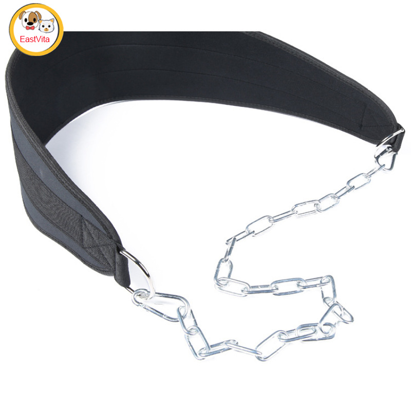 Professional Weightlifting Belt With Chain Gym Workout Pull Ups Belt For Weight Lifting Squat Training Fitness