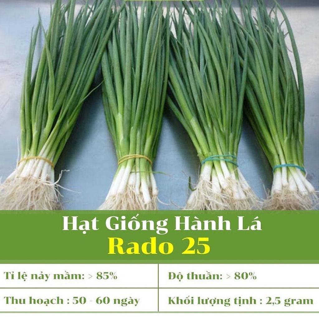 Hạt giống hành lá rado 25 gói 2.5gr