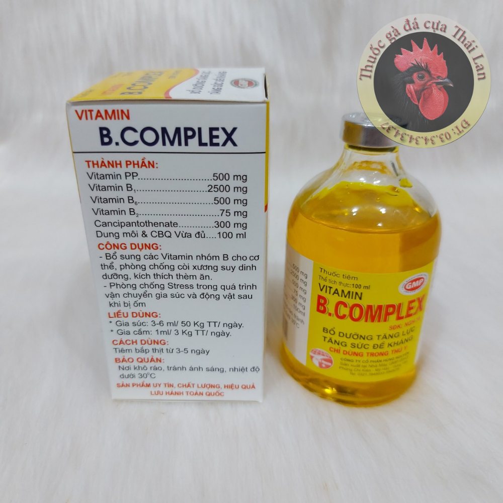 Vitamin B complex (bổ dưỡng tăng lực , tăng sức đề kháng) - 1 lọ / 100ml