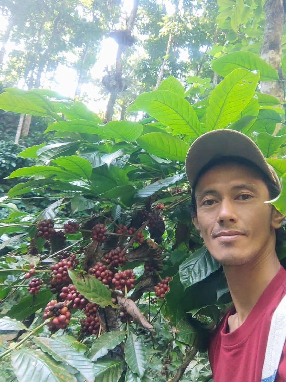 Cà Phê Hạt Specialty Indonesia Central Java Fine Robusta Floral Jasmine - Stupiducks Specialty Coffee