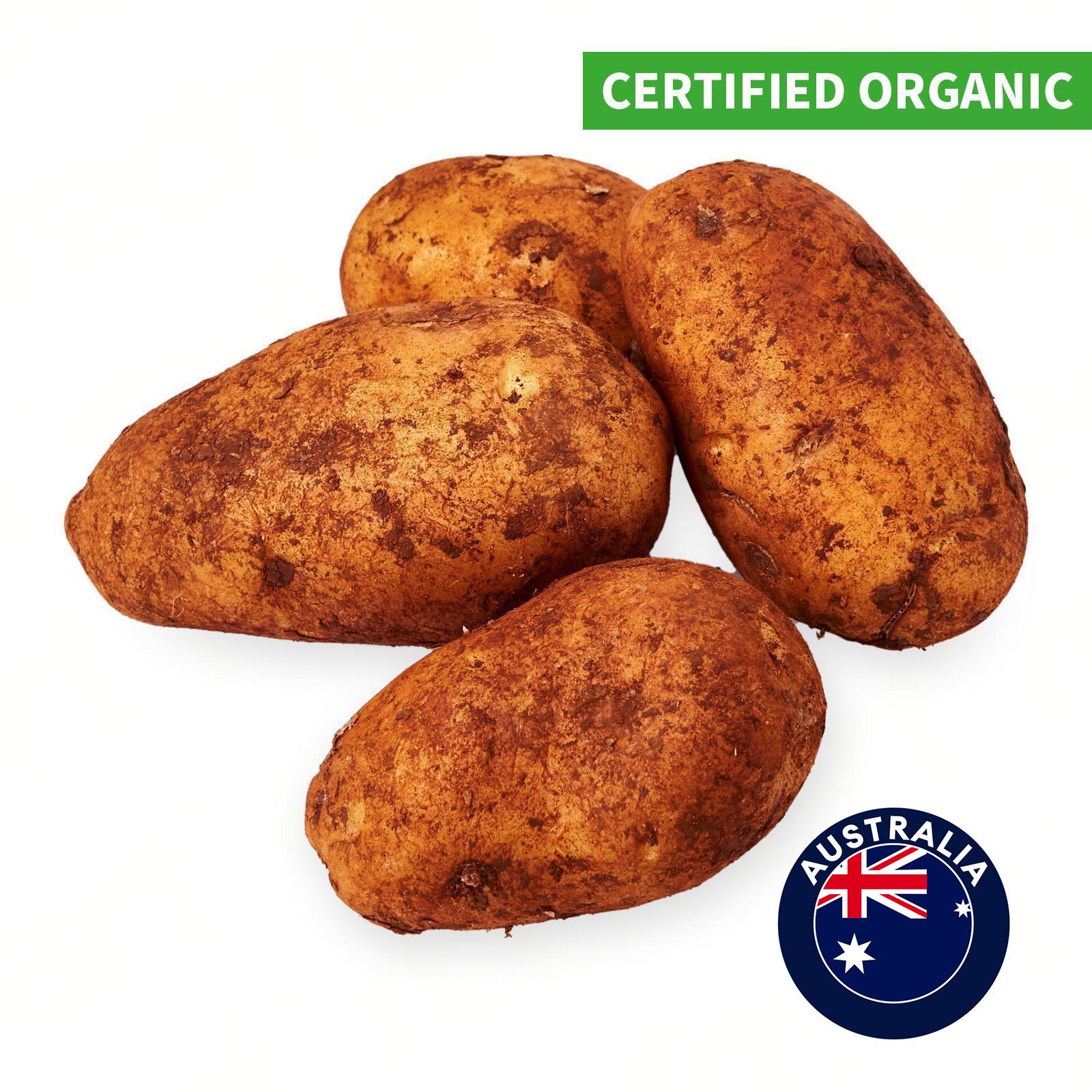 768e9fffba2d2fd472cc4f6952e026