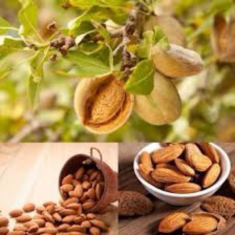 HẠNH NHÂN RANG BƠ [ 500g , Giá Huỷ Diệt ]