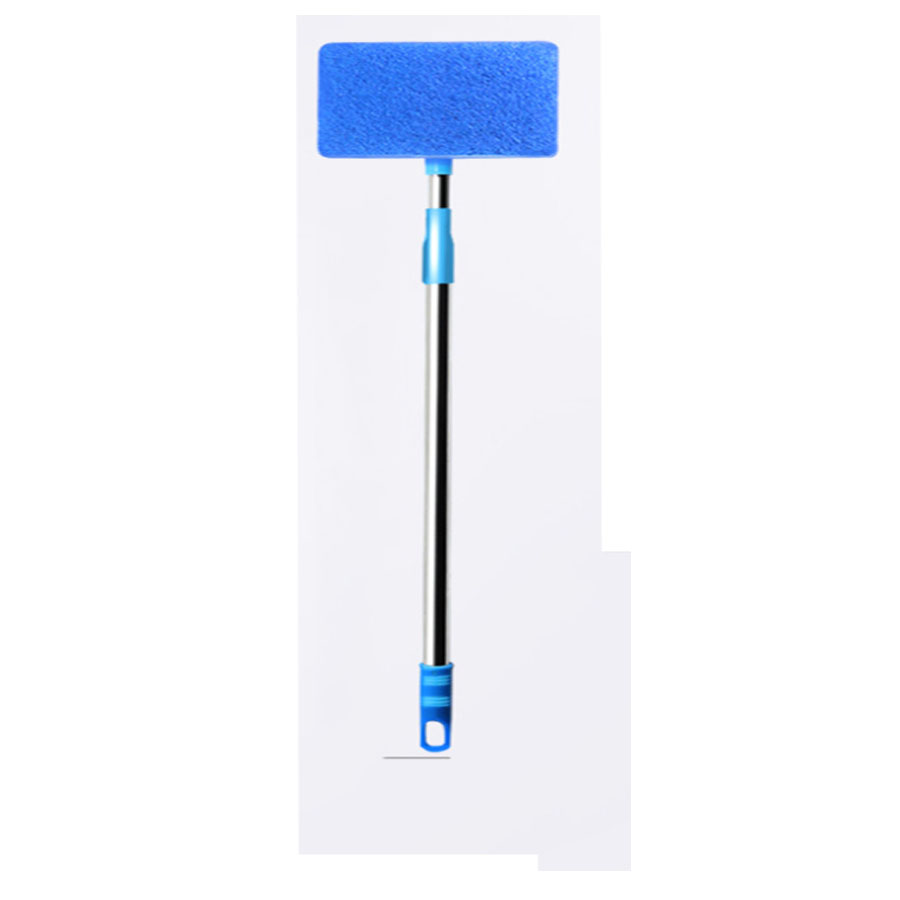 CÂY LAU KÍNH HỒ CÁ HỒ THỦY SINH