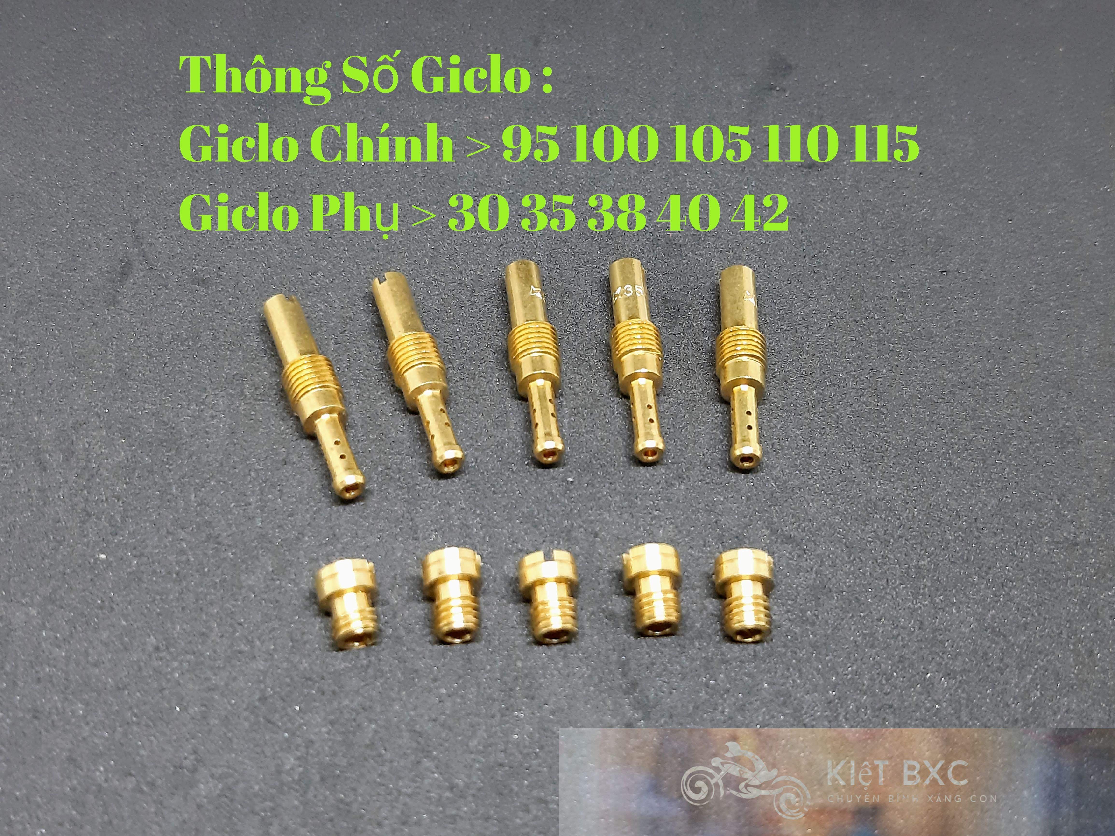 [Combo] 10 Giclo chính phụ Bông Mai/Ls/Nova