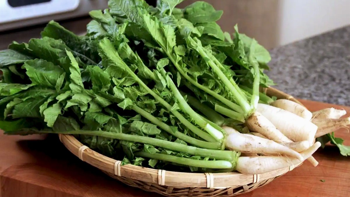 Hạt giống củ cải ăn lá (cải kẹp, rau mướp bú) 20g (lá to, có vị đặc trưng, mùi thơm)
