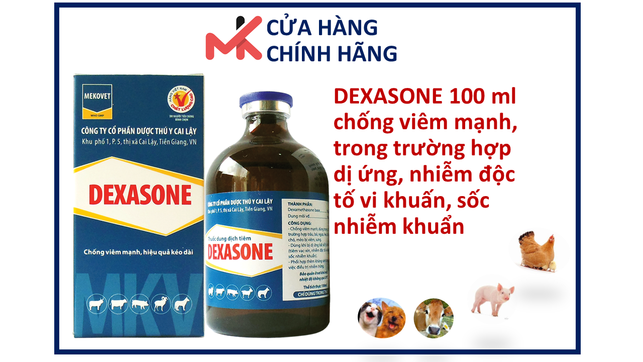 DEXASONE 100ml chống viêm, nhiễm trùng dùng trong các trường hợp trâu, bò thumbnail