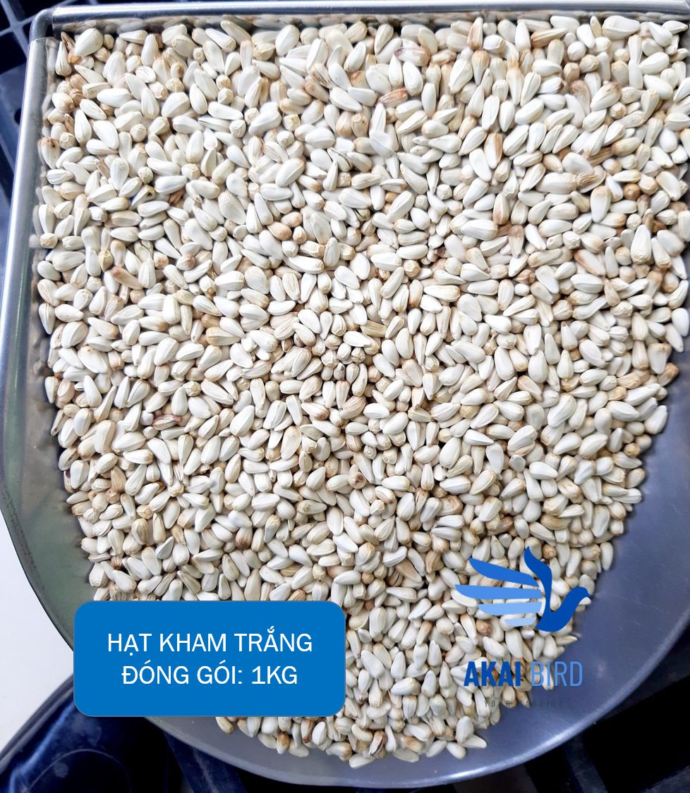 [1KG] Hạt Kham Trắng Cho Vẹt, Hamster, Sóc, Chim Cảnh....