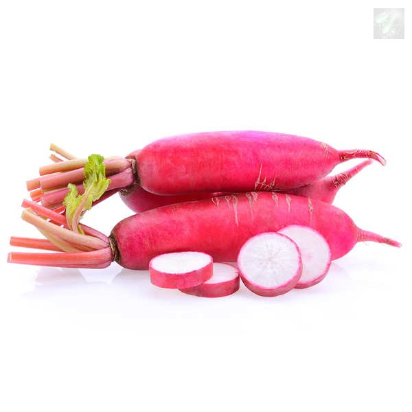 [Seeds] Hạt giống củ cải đỏ dài RD715, đóng gói 2gr (khoảng 200 hạt)