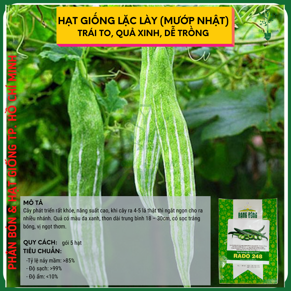 Hạt Giống Lặc Lày Mướp Nhật