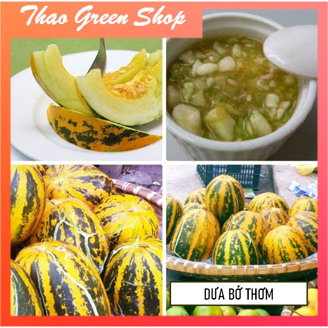 Hạt giống dưa bở siêu thơm