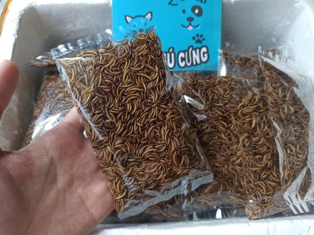Sâu sấy khô cho Hamster và thú nhỏ