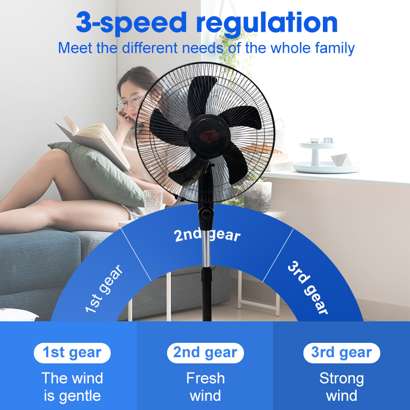 Types Of Electric Fan With Pictures