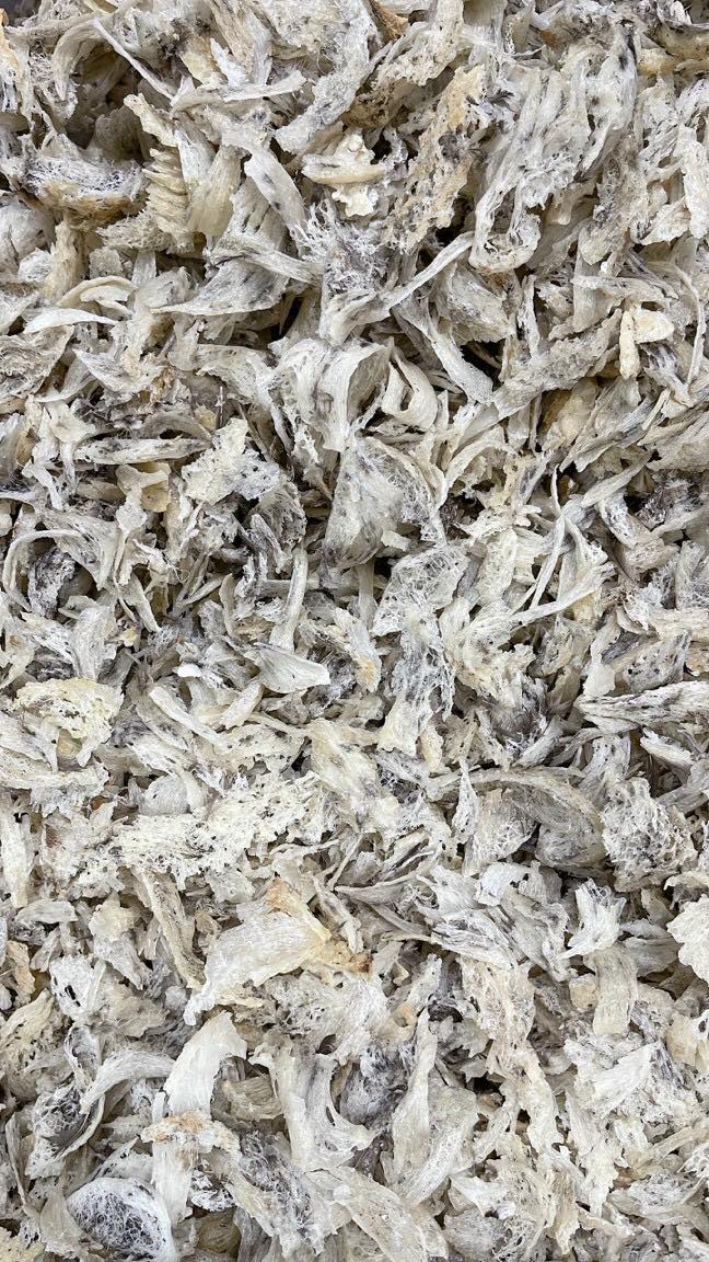 50gr Yến thô vỡ hàng nguyên chất 100%