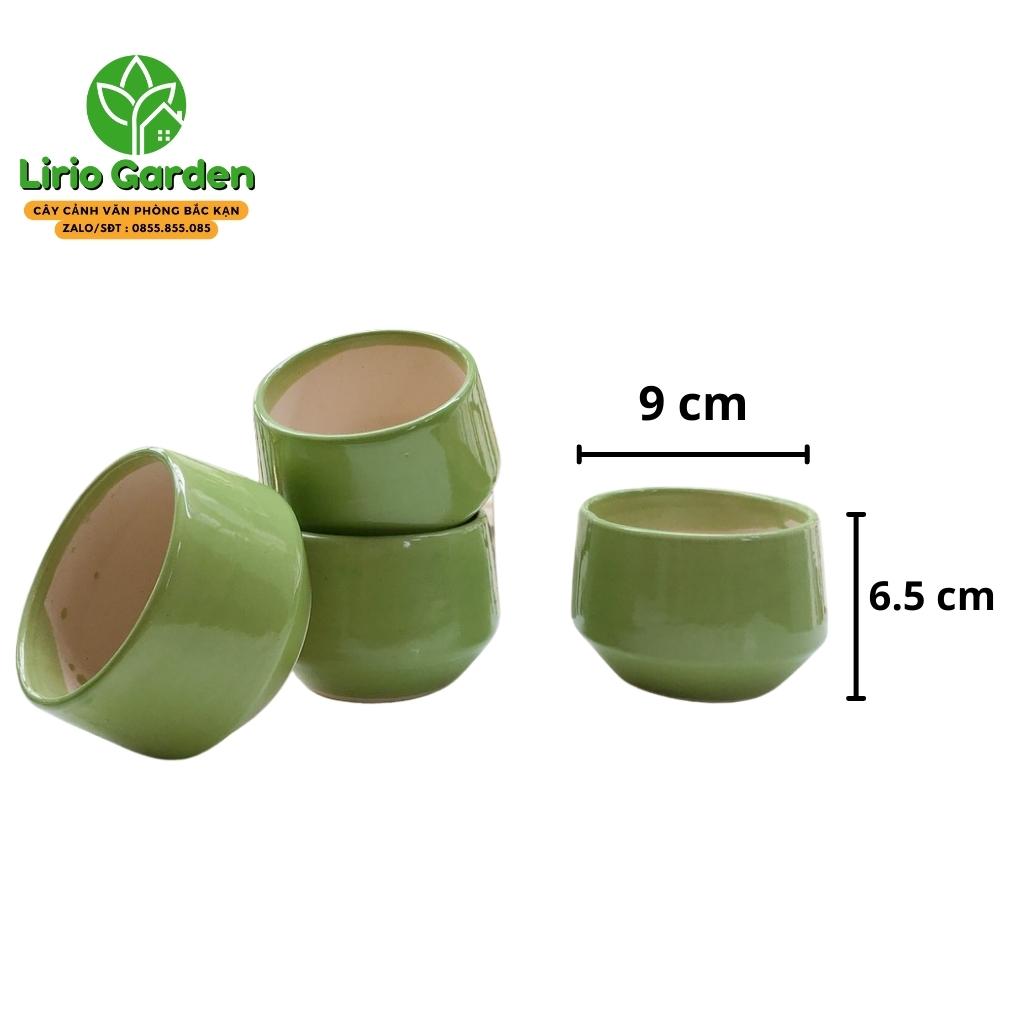 Chậu cây hình hạt dẻ nhỏ