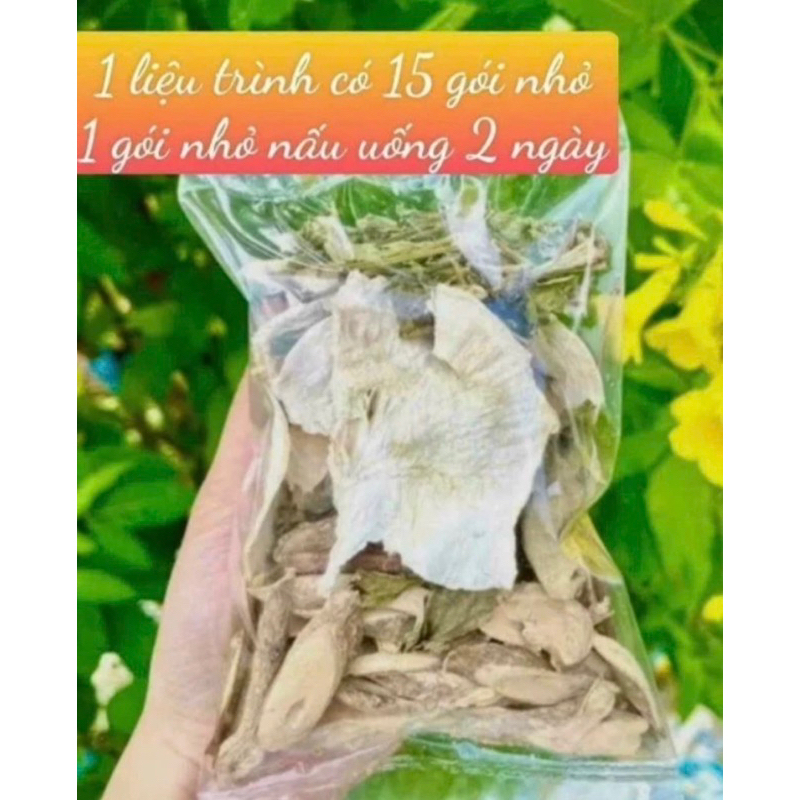 trà lá nam sâm tố nữ