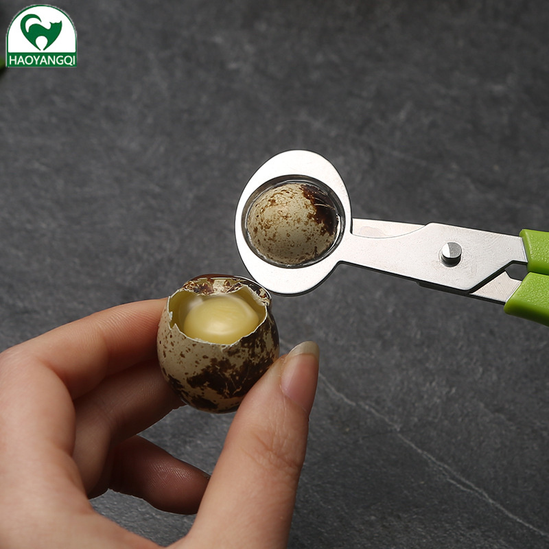 Kéo trứng cút Dụng cụ mở trứng kéo Trứng chim kéo thép không gỉ kéo cắt trứng dụng cụ cắt trứng Dụng cụ mở trứng cắt vỏ trứng