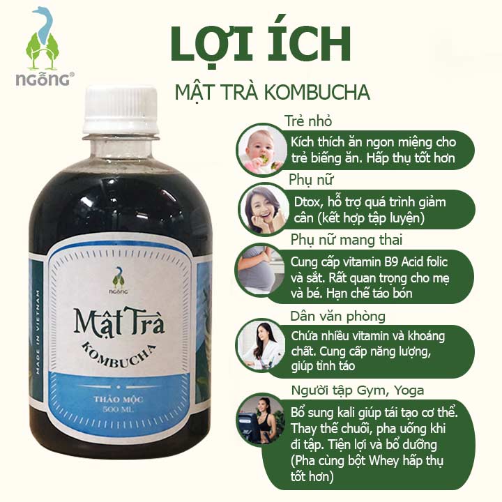 Mật Trà KombuchaThảo Mộc 500ml