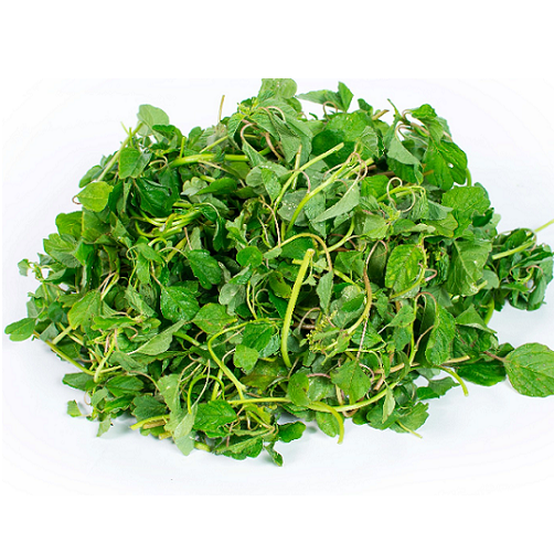 Hạt Giống Rau Dền Cơm (10gr)