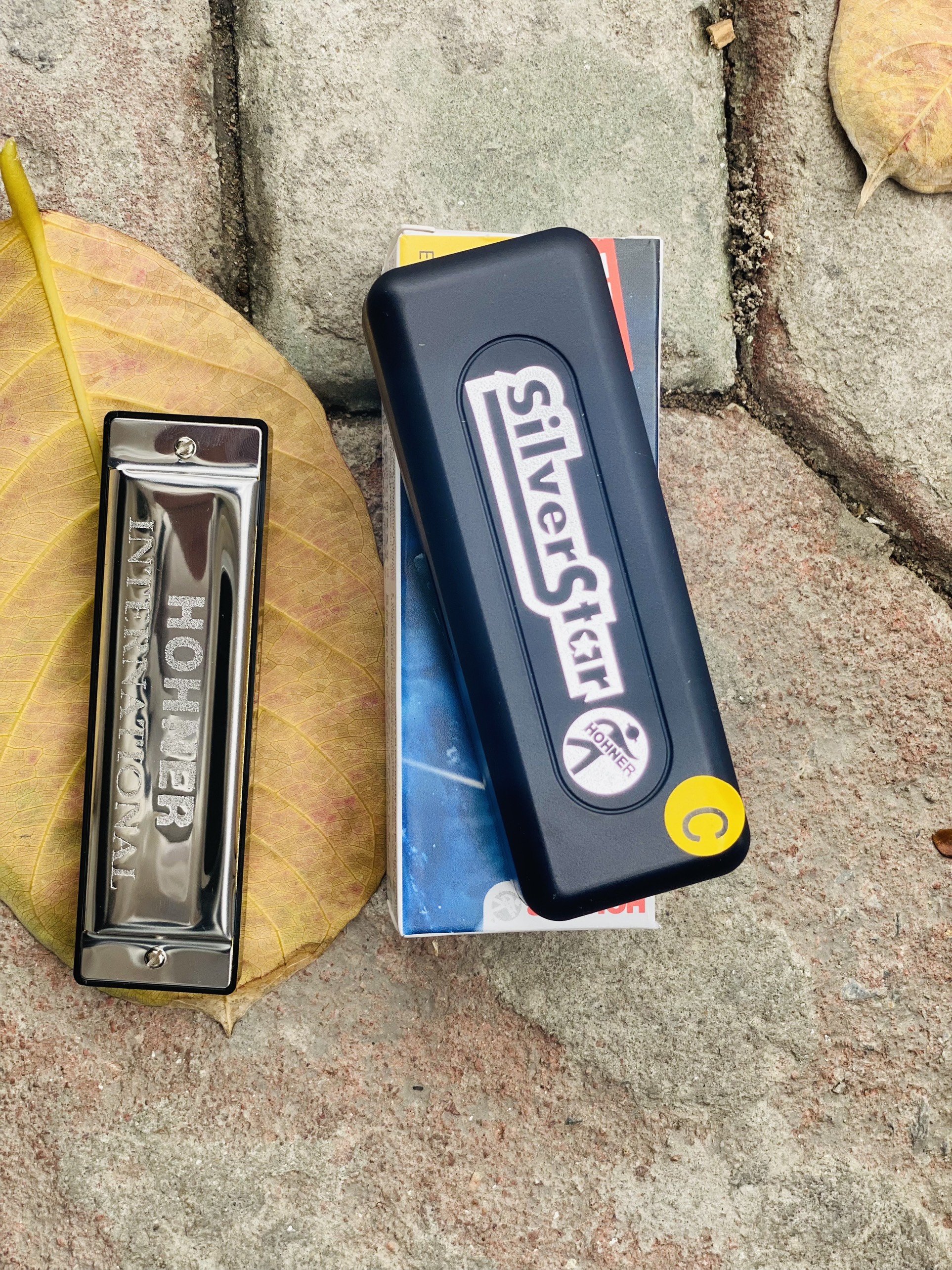Harmonica Diatonic HOHNER Silver Star M5040167 ( Tone C )