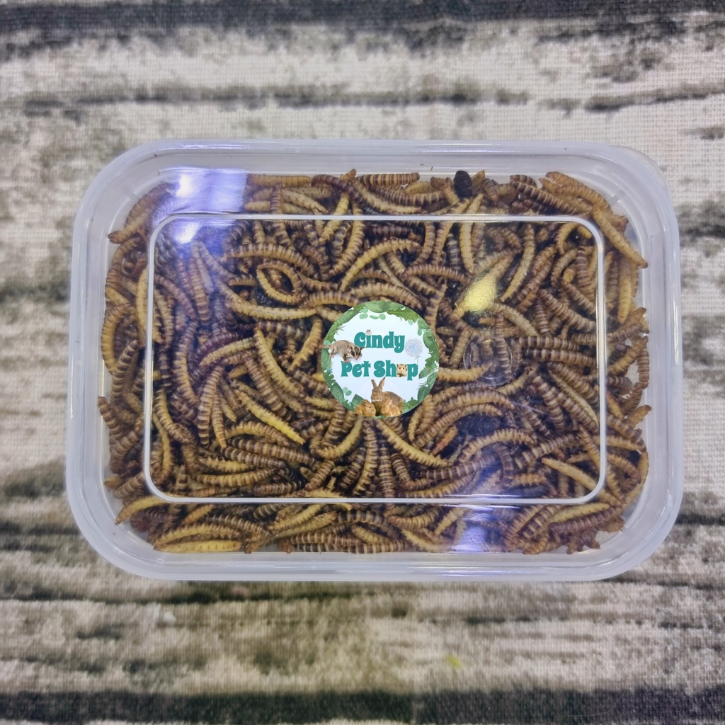 Thức ăn dặm hộp mini cho Hamster, Sóc, Thỏ, Bọ Ú...