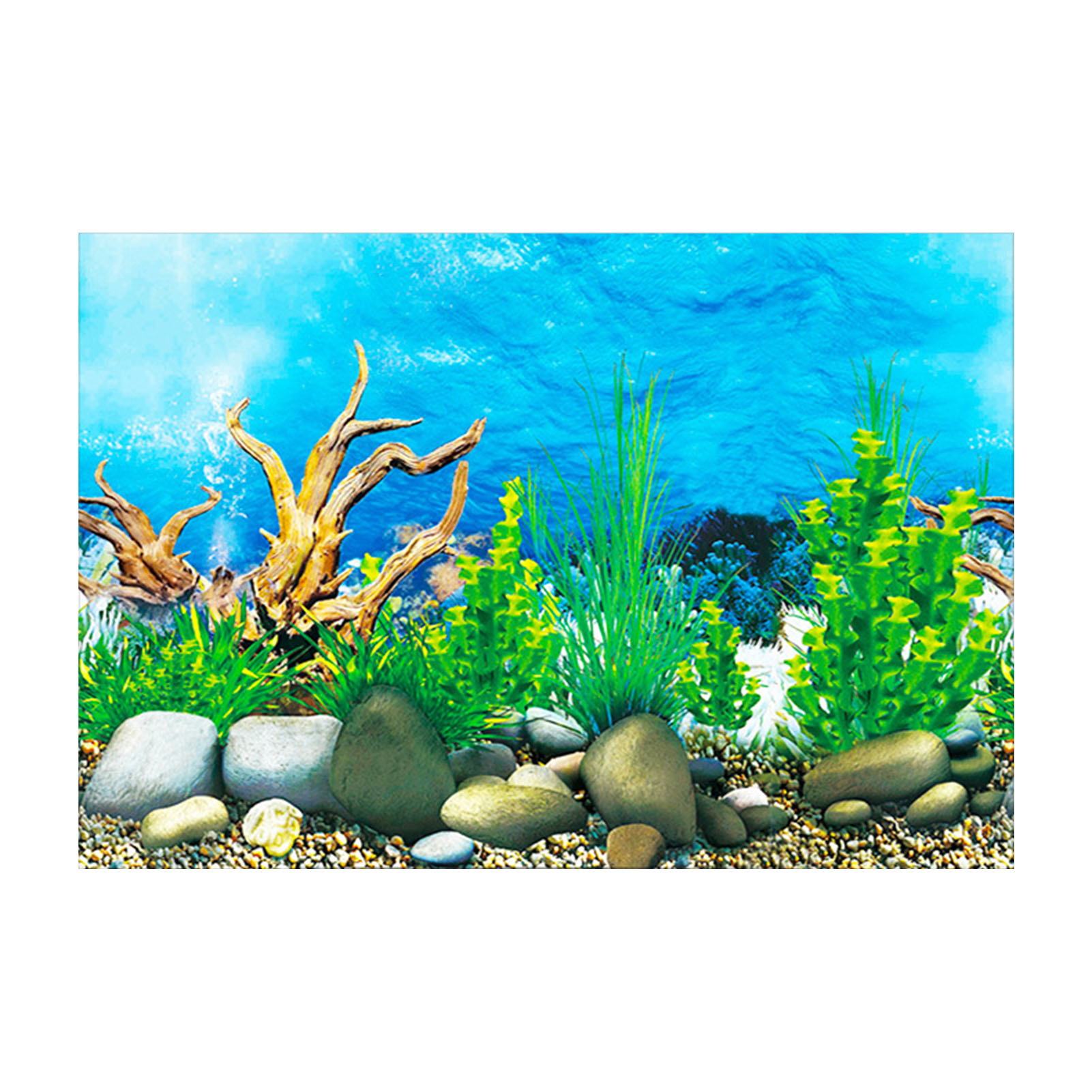 Chất lượng 3d 3d aquarium background 72 x 24 Cho hồ thủy sinh với nhiều mẫu  mã đa dạng