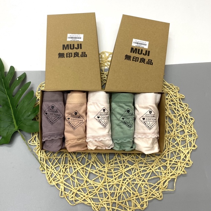 Quần Lót Nữ Kháng Khuẩn, Chất Cotton Co Dãn 4 Chiều Evalim