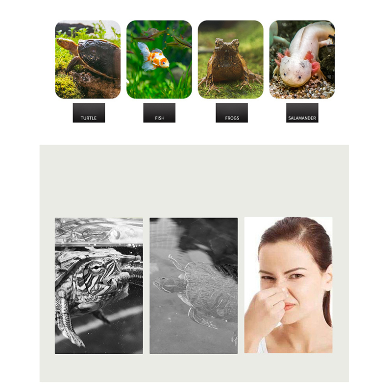 Low%20Water%20Level%20Filter%20Small%20Fish%20Tank%20Turtle%20Tank%20Waterfall%20Shallow%20Water%20QINGHE%20-%20Image%205