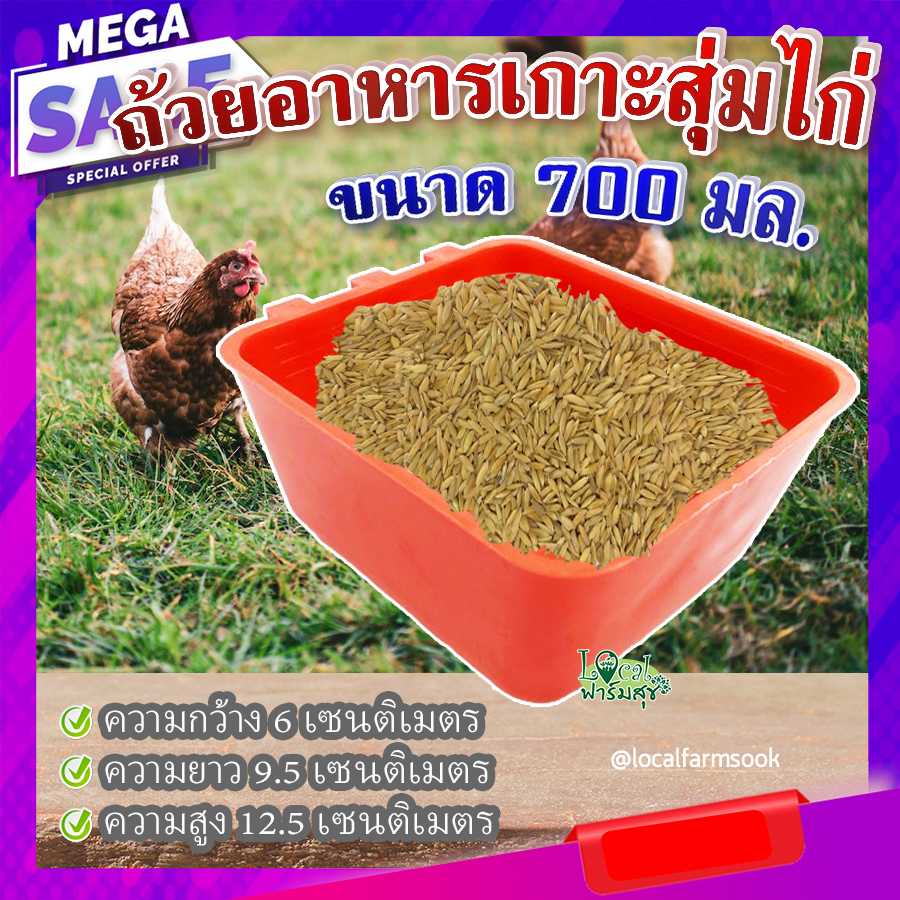 ถ้วยอาหารเกาะสุ่มไก่ (ขนาด 700 มล.) 🐔 ถ้วยเกาะสุ่มไก่ ที่ให้อาหารไก่ ...