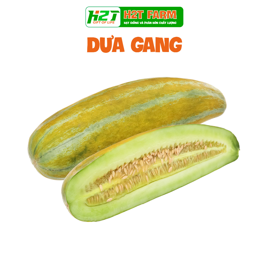 Hạt giống dưa gang cao sản - h2t farm