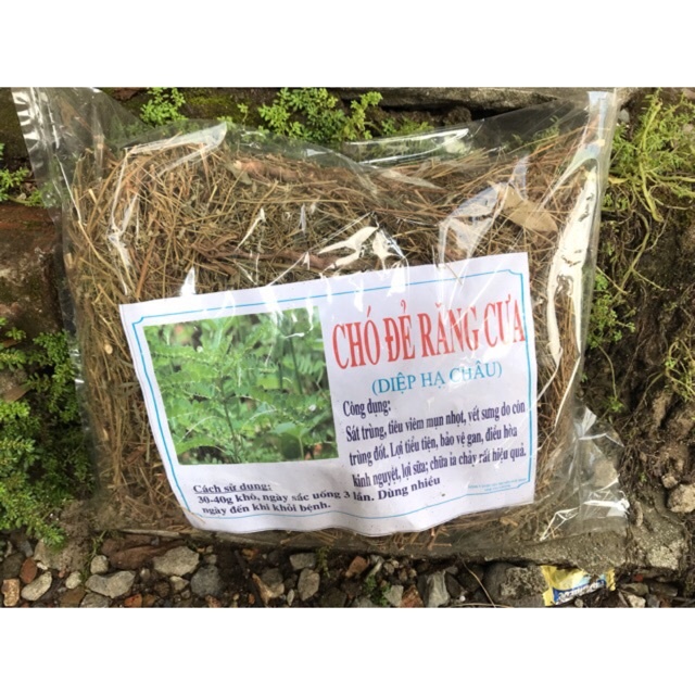 Cây chó đẻ phơi khô 1kg