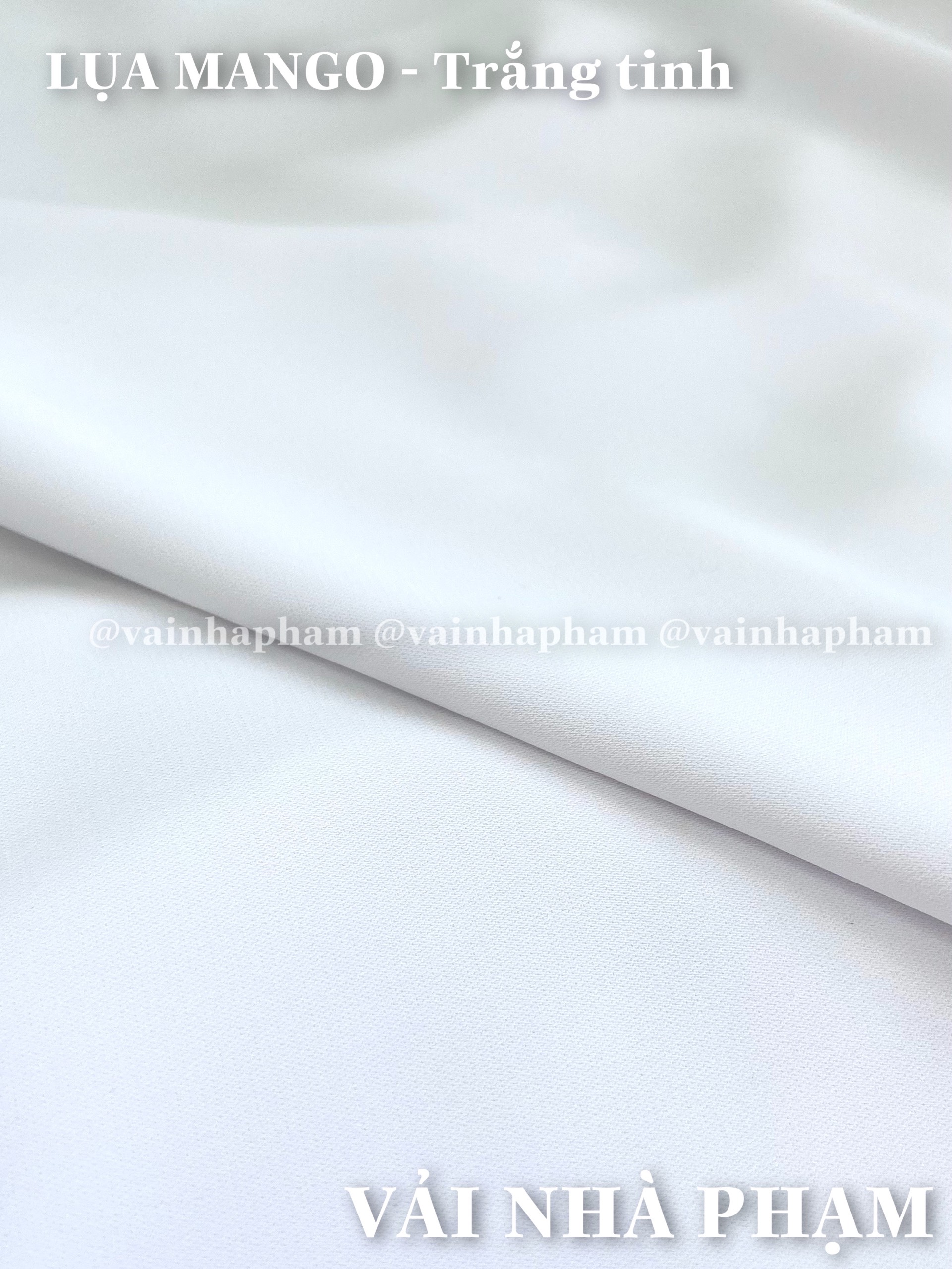 LỤA MANGO MÀU - VẢI ÁO DÀI HỌC SINH - VẢI NHÀ PHẠM - KHỔ 1.5M