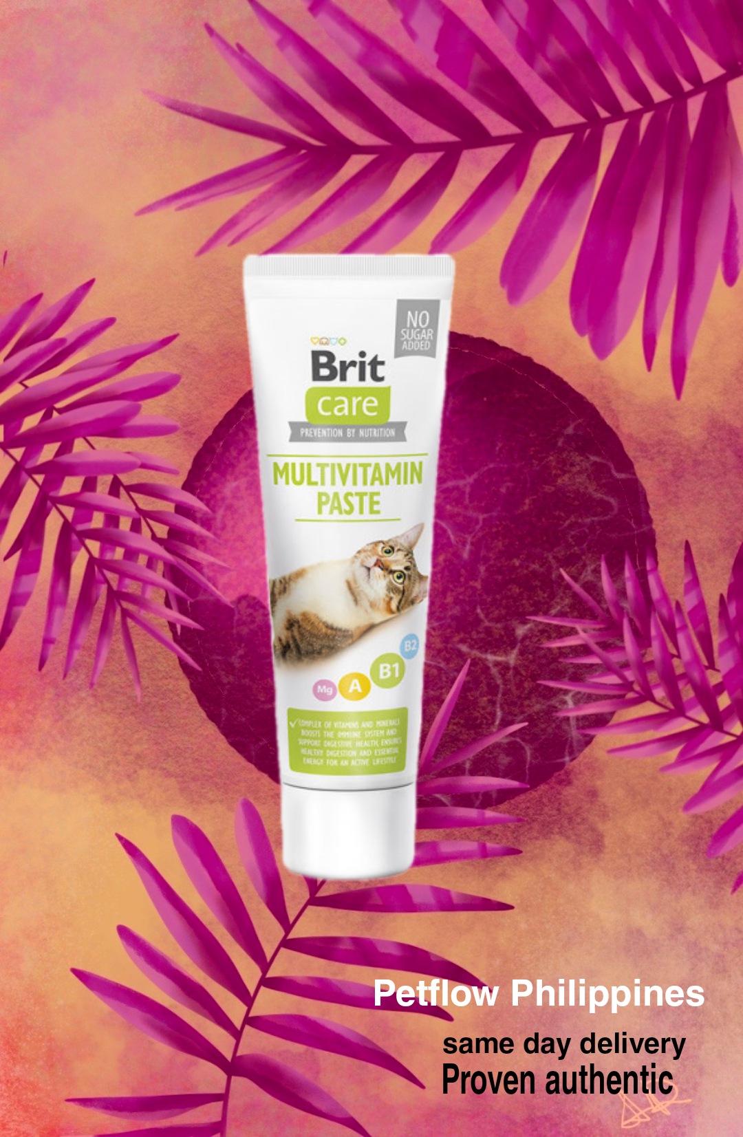 Brit care multivitamin paste 100g cat supplement Lazada PH