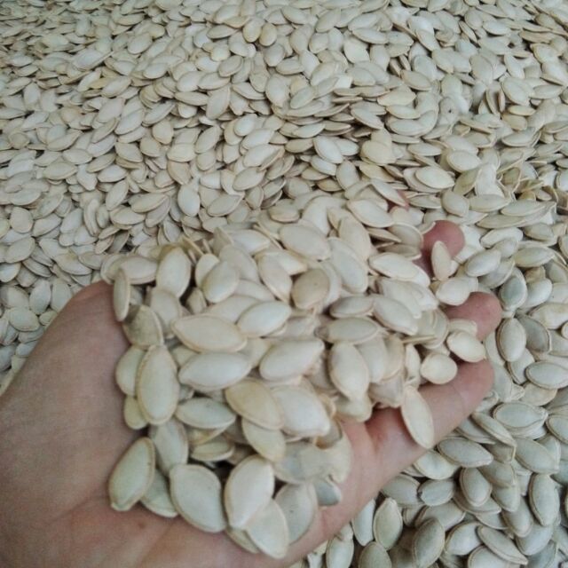 Hạt Bí Trắng Rang Tay 500g 2c Mart