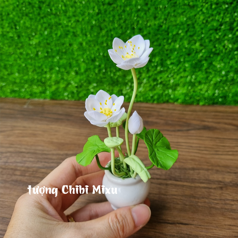 Chậu hoa sen bằng đất sét Nhật cao tầm 10cm